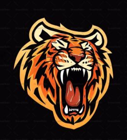 Brüllender Tiger